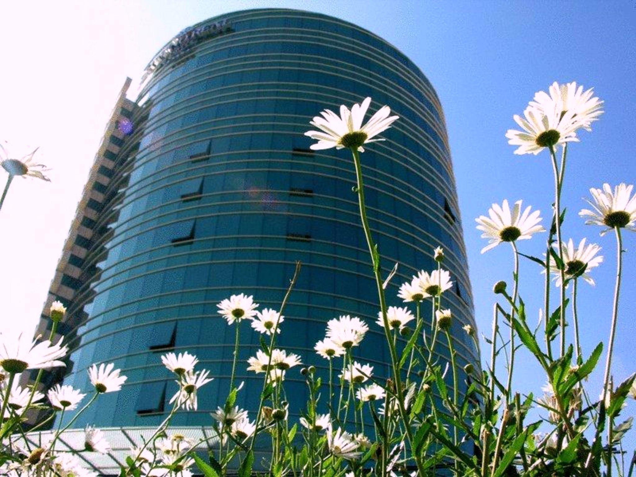Suites Camino Real La Paz Exteriér fotografie